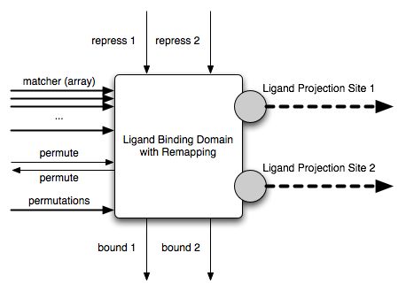 Ligand Binding Domain with Remapping Diagram