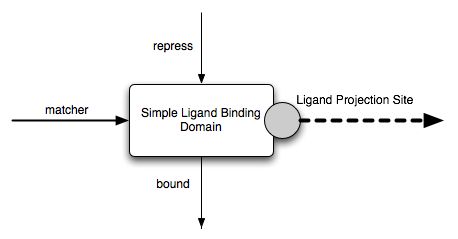 Simple Ligand Binding Domain Diagram