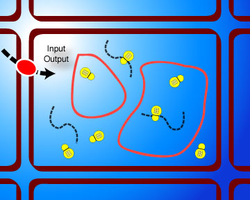 Complete Monod Cell